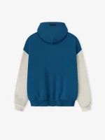 Lions Sport Hoodie